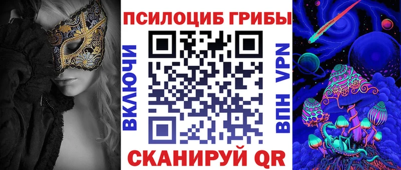 Галлюциногенные грибы Psilocybe  Малмыж 